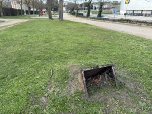 jardín situado en la calle Pinar