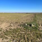 Reclamamos atención para el campo zamorano