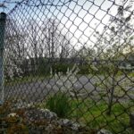 Un año más, sin camping en el Lago de Sanabria